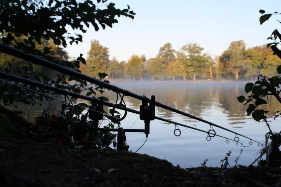 ::::::::- LIKE -:::::: - 1013043545095632192876111615244n.jpg